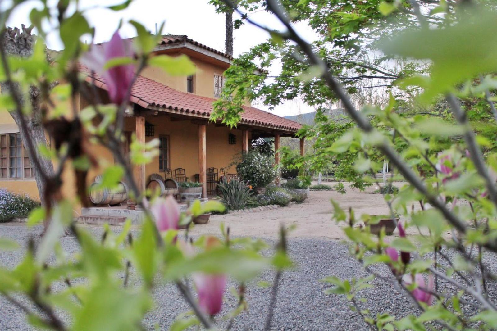 Colchagua