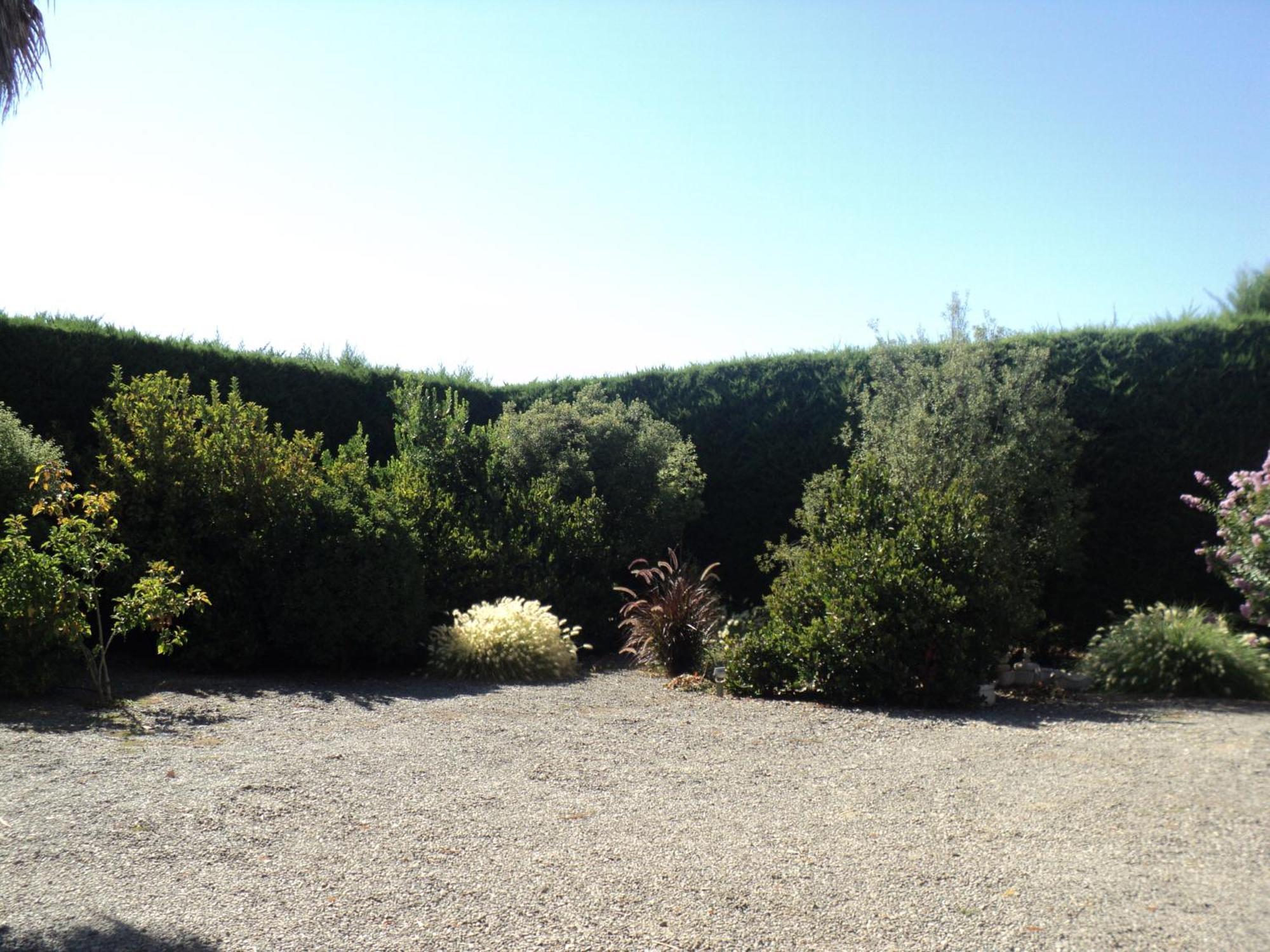 Colchagua Santa Cruz